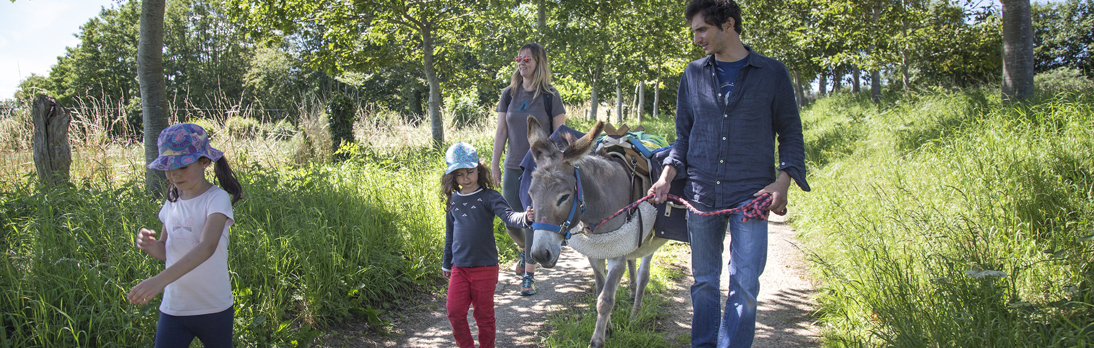 Le Pas d’âne – Randonnée avec les ânes
