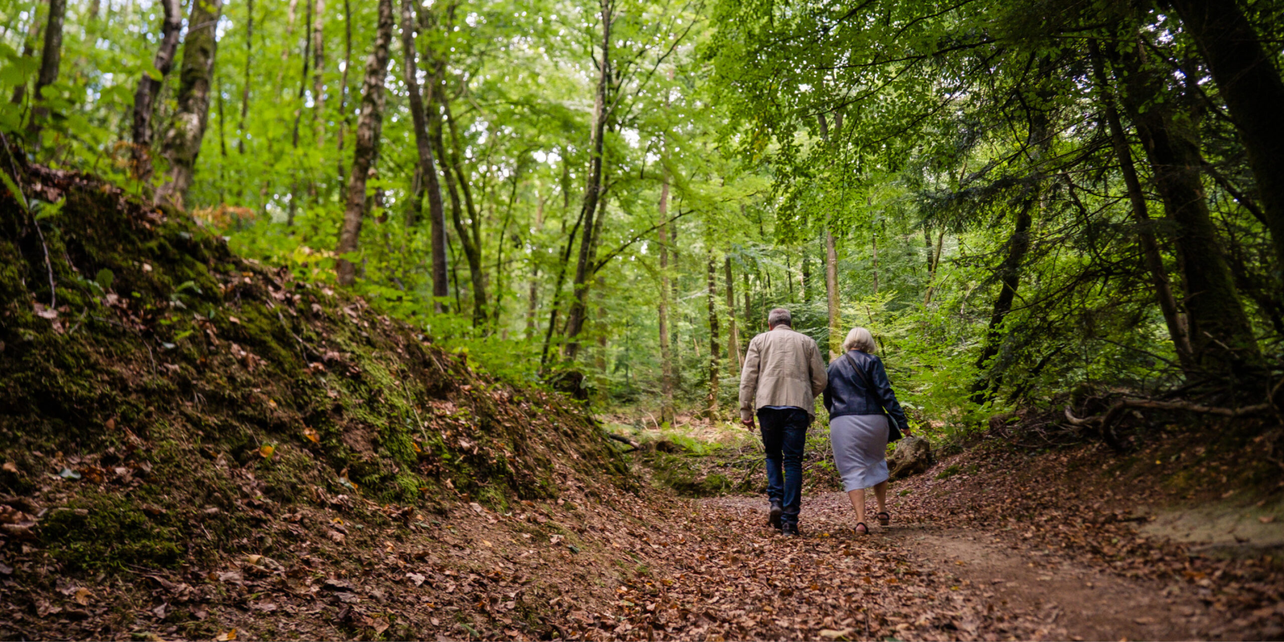 Les plus belles promenades d’automne 🍂