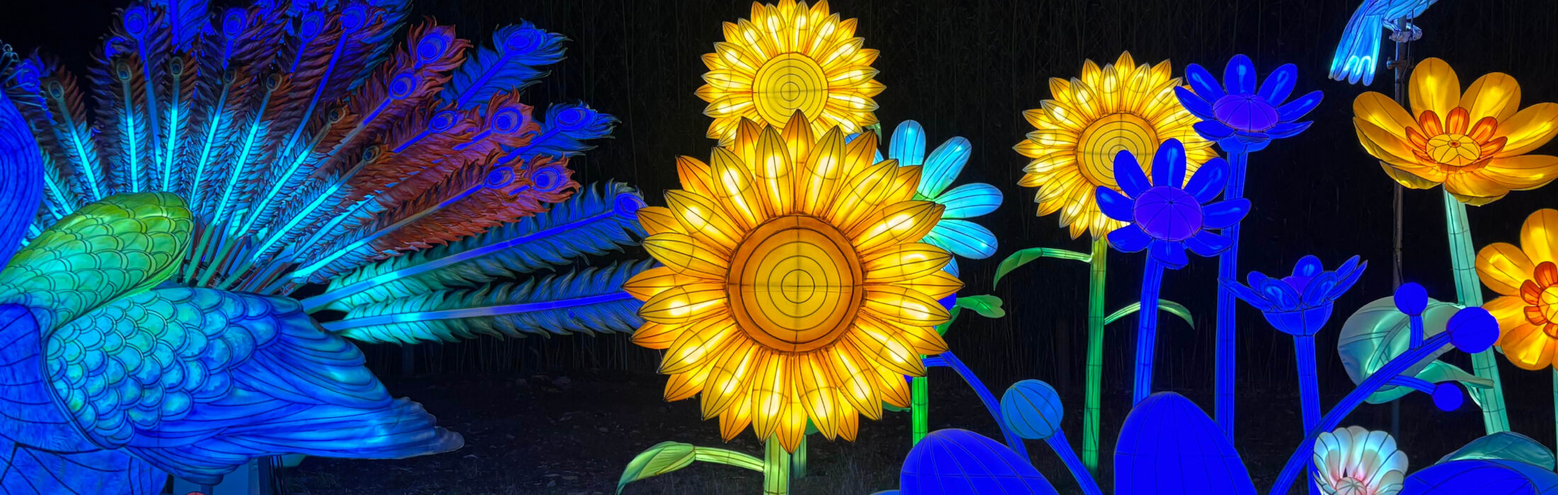Jungle de Lumières 2026 au Zoo de Jurques : notre avis sur la nouvelle édition✨