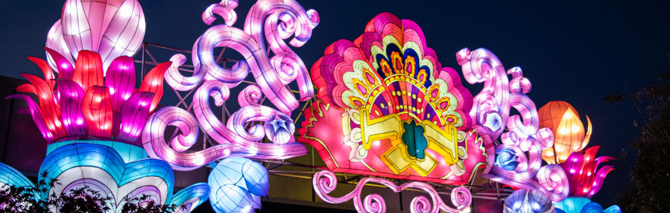 🦜 On a testé pour vous : Jungle de Lumières au Zoo de Jurques