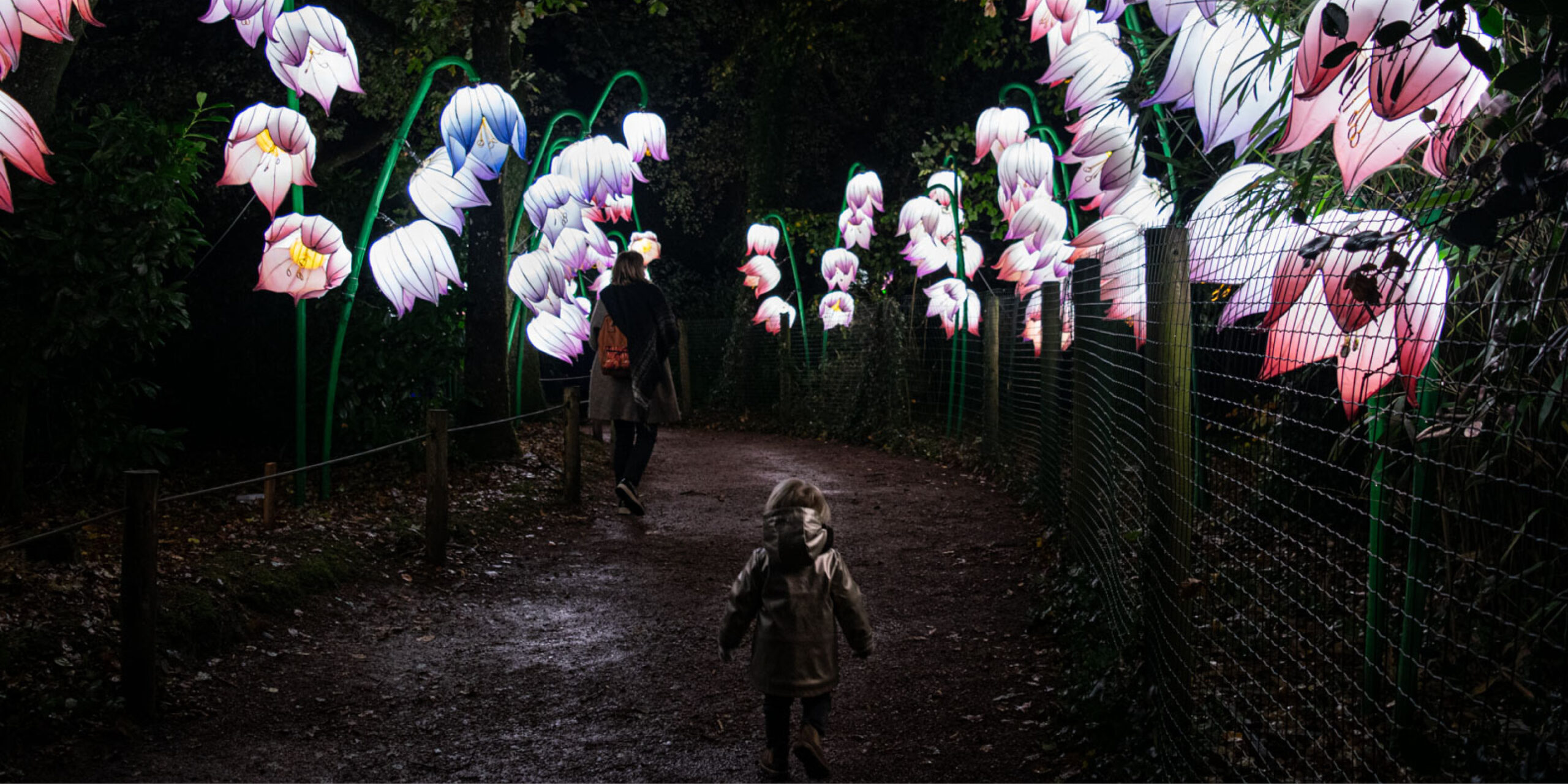 On a testé pour vous : Jungle de Lumières au Zoo de Jurques