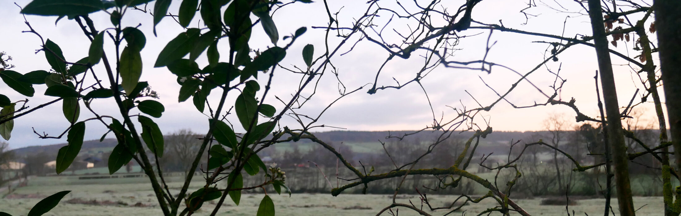 Les 5 plus belles balades à faire en hiver ❄️
