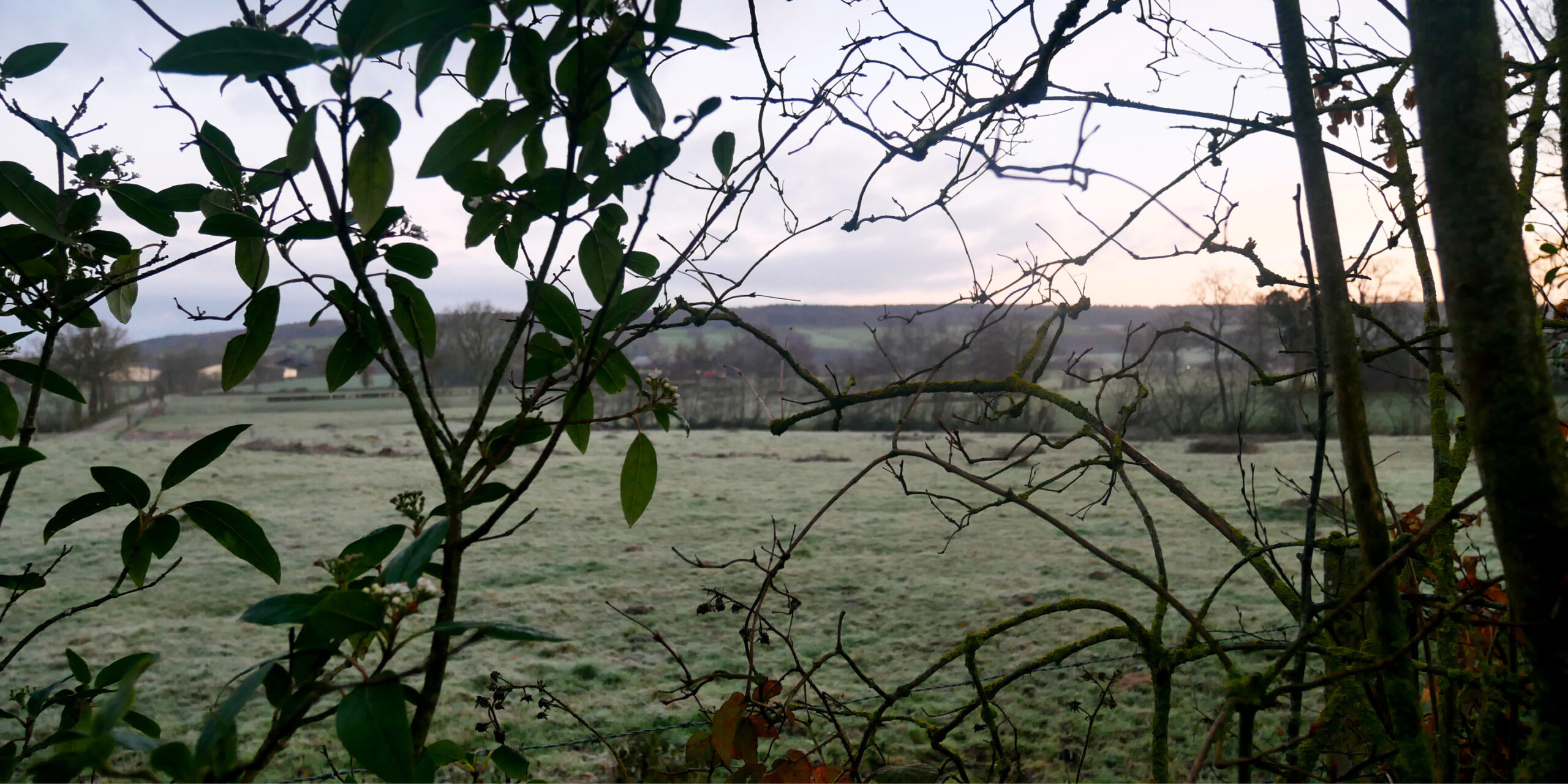 Les 5 plus belles balades en hiver ❄️