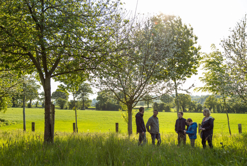 Floraison des pommiers à la Cidrerie Mette au Mesnil-Caussois, Pays de Vire