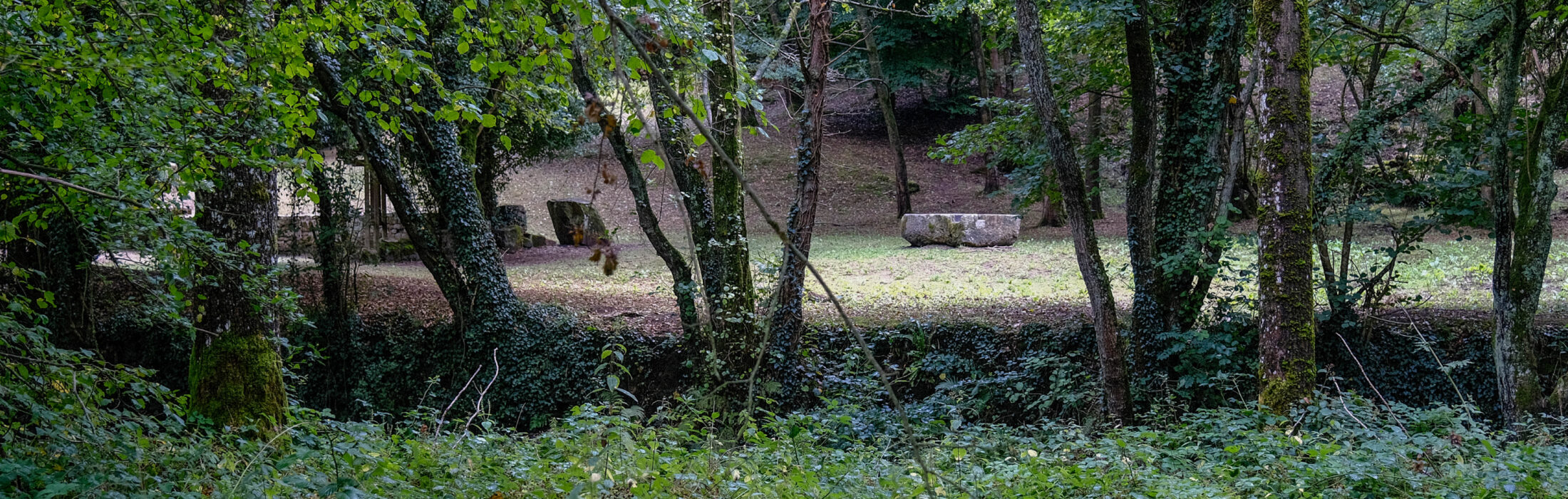 5 lieux pour lire et flâner au grand air 📖🌳