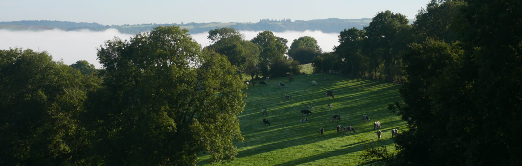 10 randonnées à faire en Suisse Normande 🌳