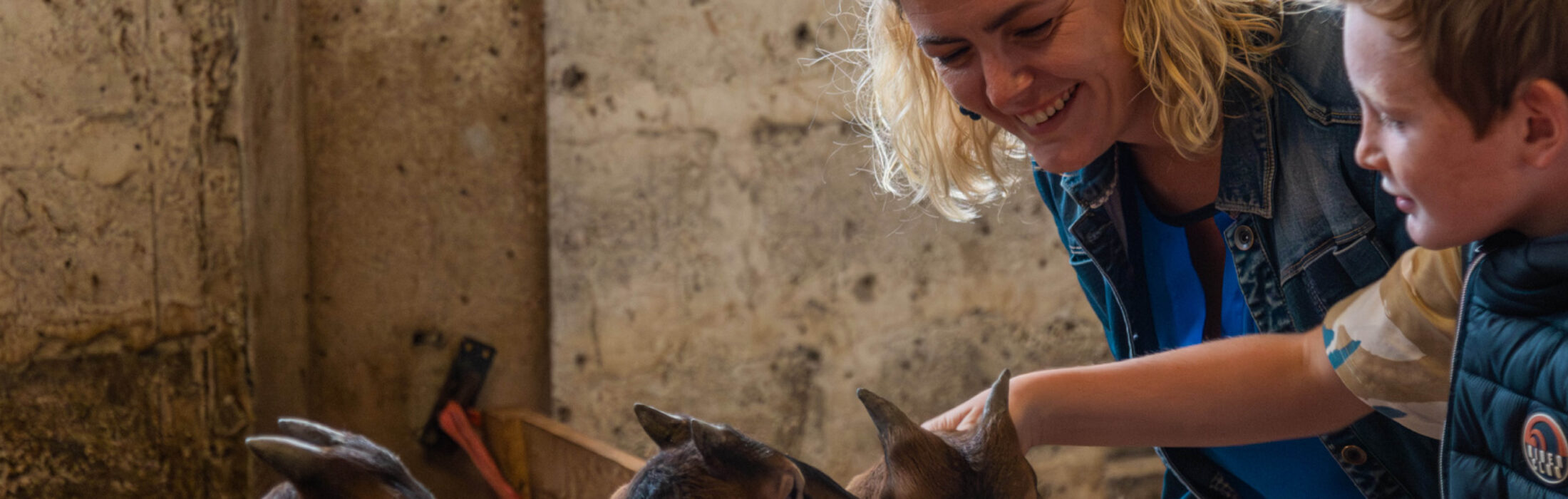 Où observer les animaux ? Nos sites incontournables 🐾