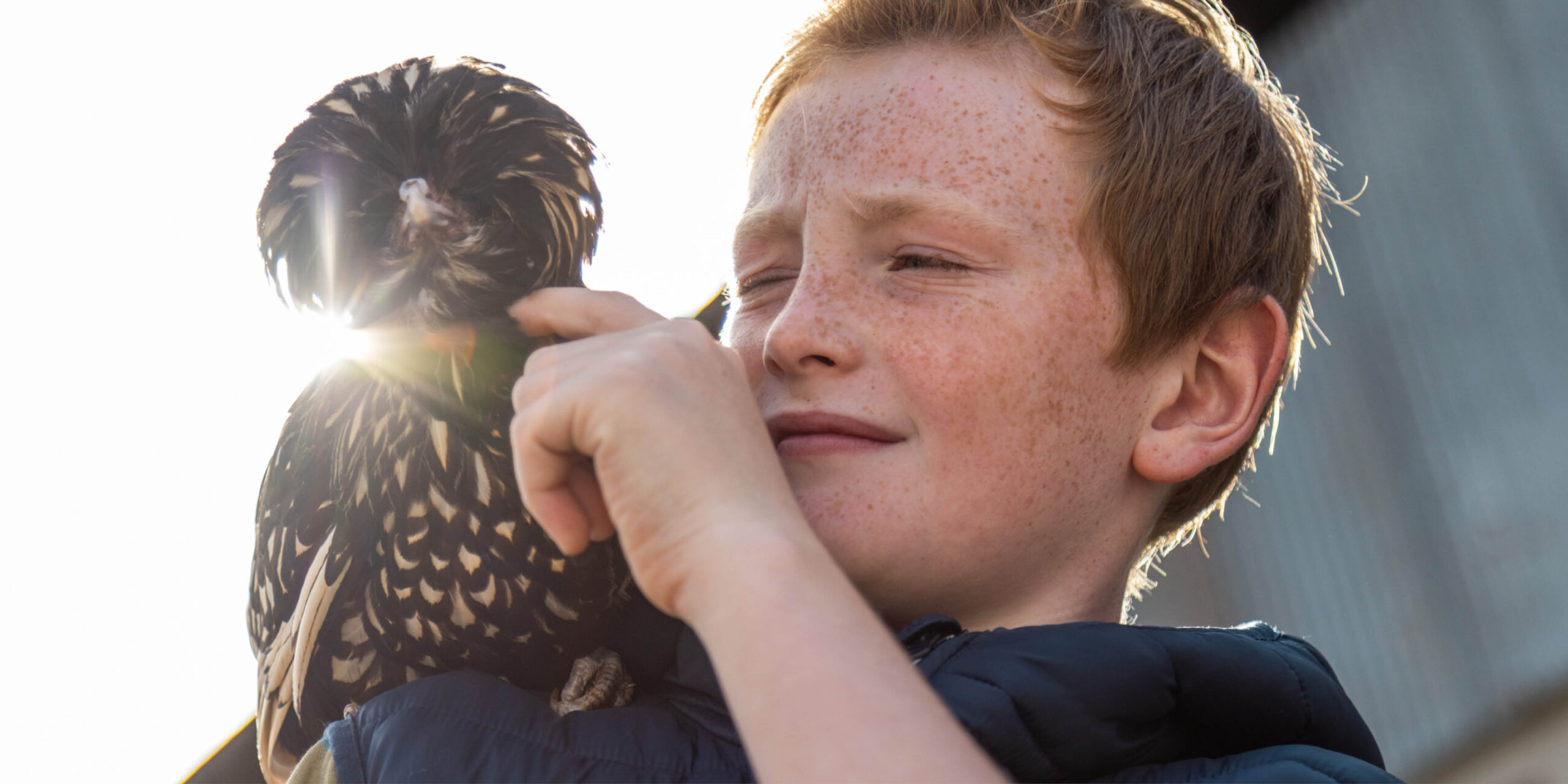 Où observer les animaux ? Nos sites incontournables 🐾
