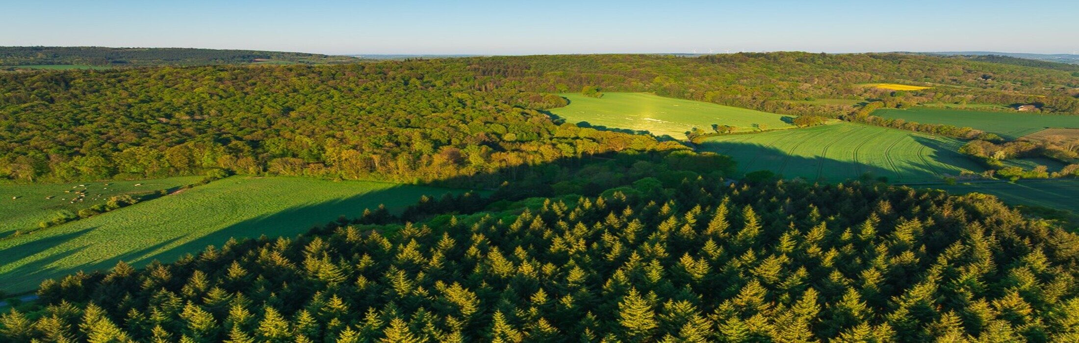 Forêt de Valcongrain ©J. Houyvet - Photo d'illustration 