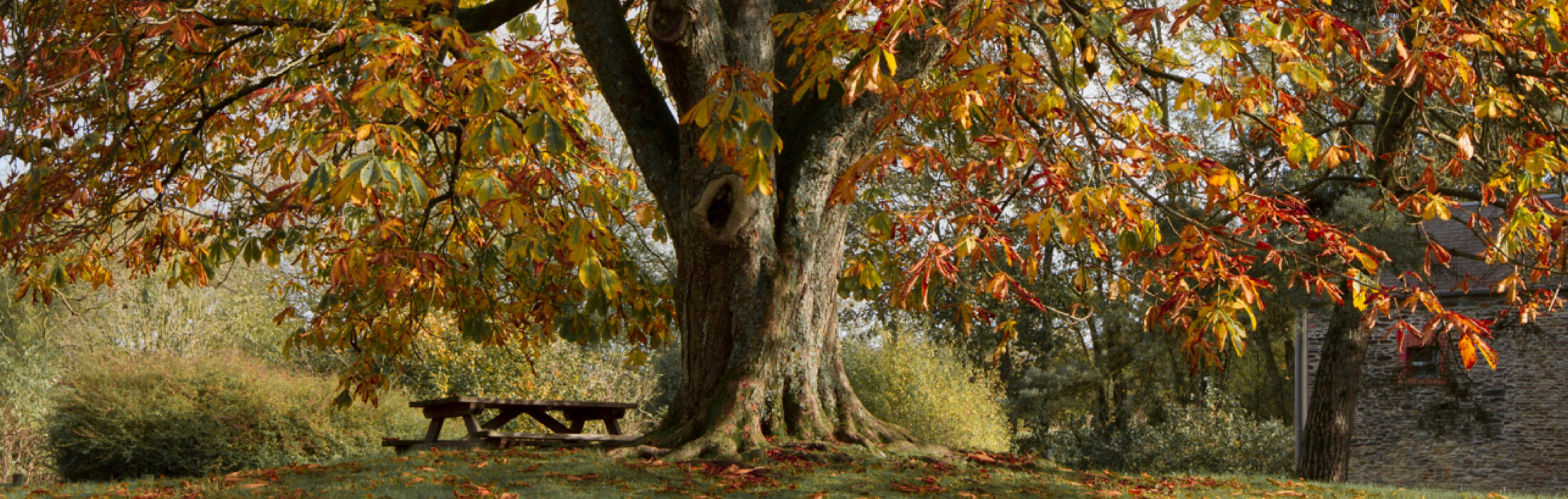 5 boucles trail pour voir l&rsquo;automne autrement