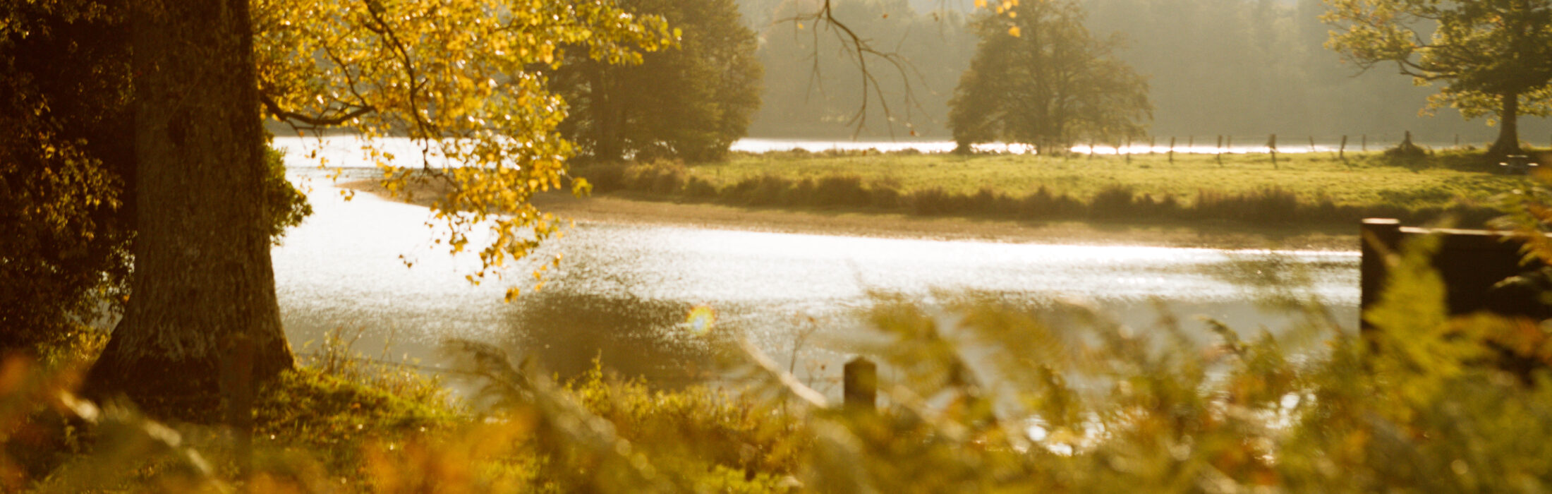 5 boucles trail pour voir l&rsquo;automne autrement