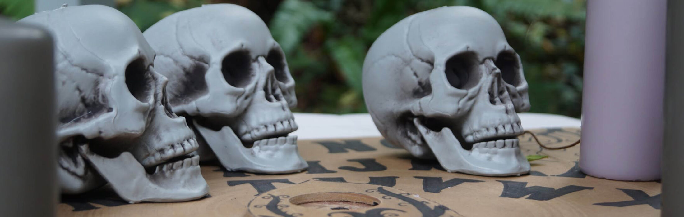 Que faire à Halloween dans le Pays de Vire ? 🎃