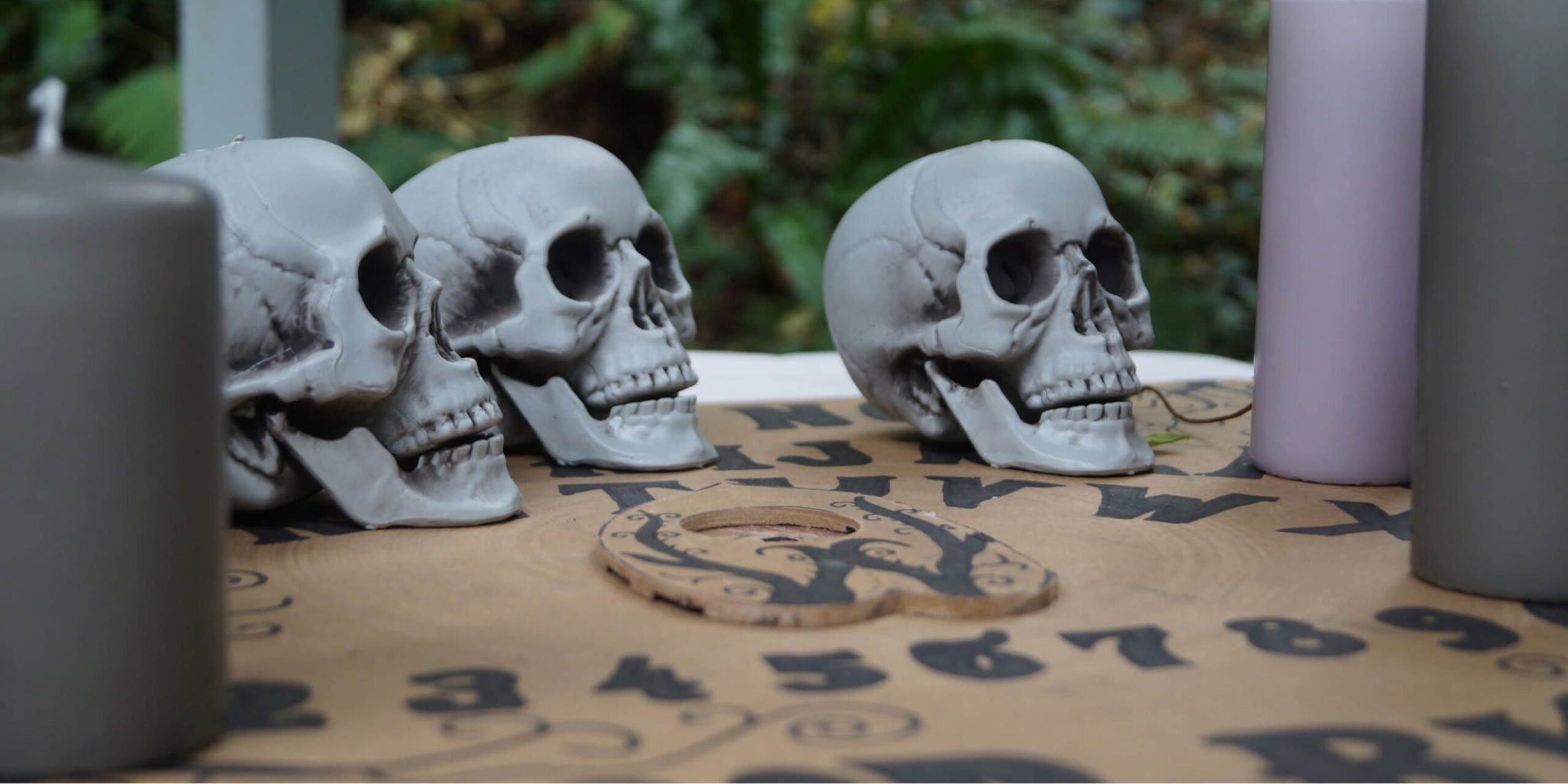 Que faire à Halloween dans le territoire ? 🎃