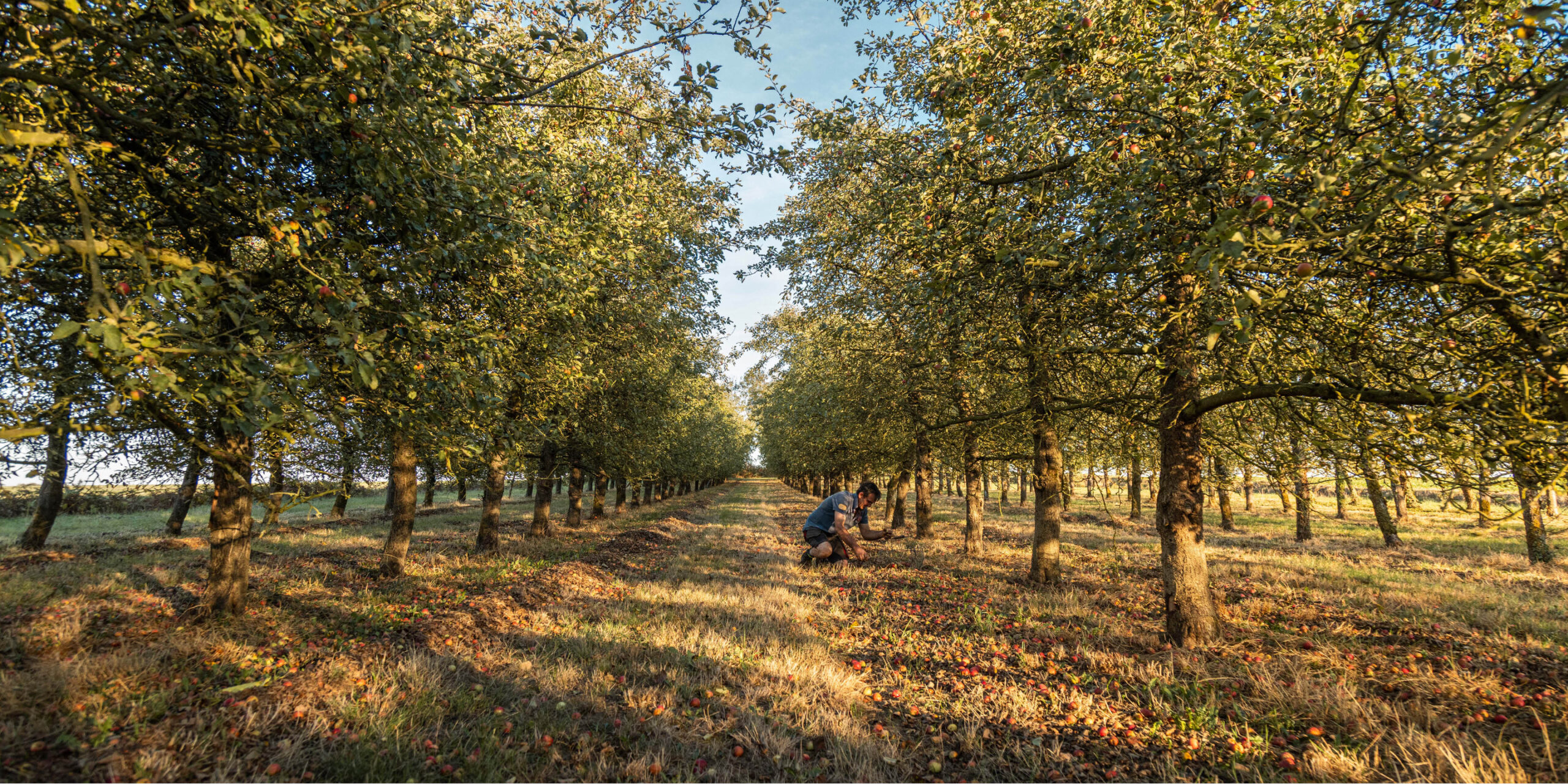 Voir nos fermes cet automne